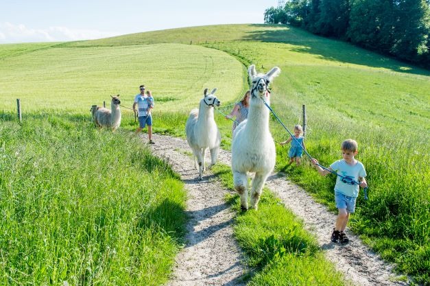 Lamawanderung Familie